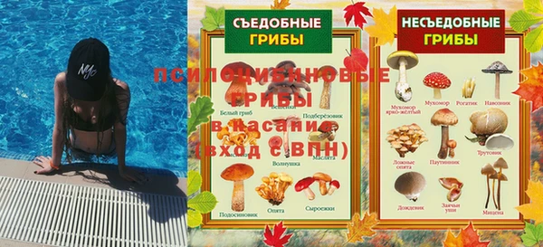 СК Абинск