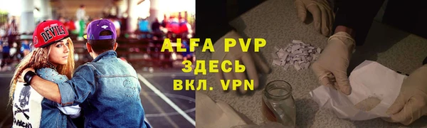 хмурый Абаза