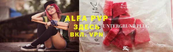 хмурый Абаза