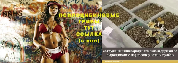 СК Абинск