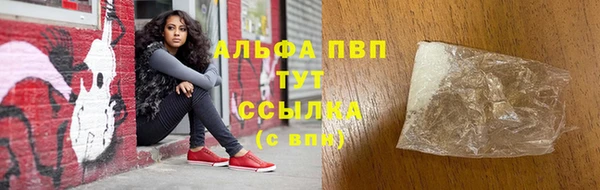 хмурый Абаза