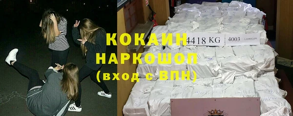 хмурый Абаза