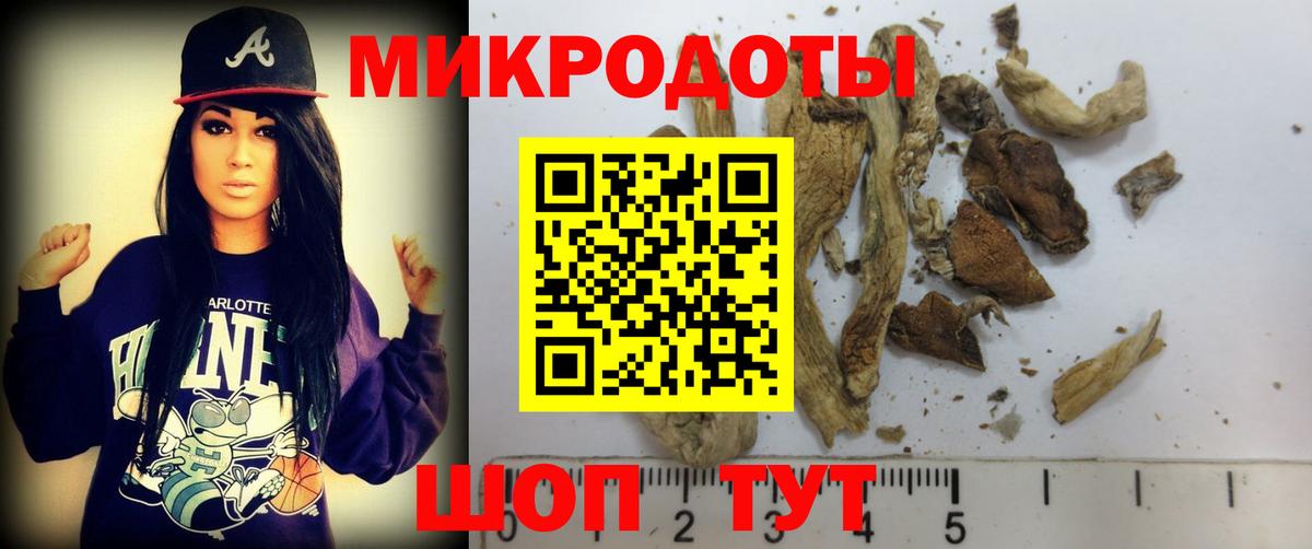 Галлюциногенные грибы мухоморы  Галлюциногенные грибы GOLDEN TEACHER  Знаменск  Вход с VPN 